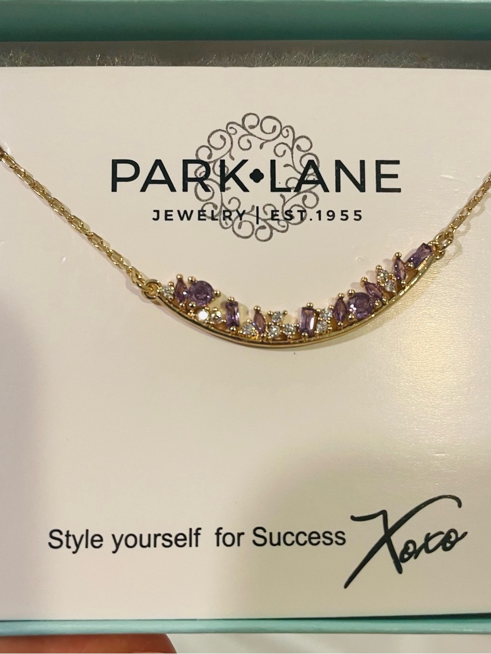 Park Lane Blackberry Necklace NWT